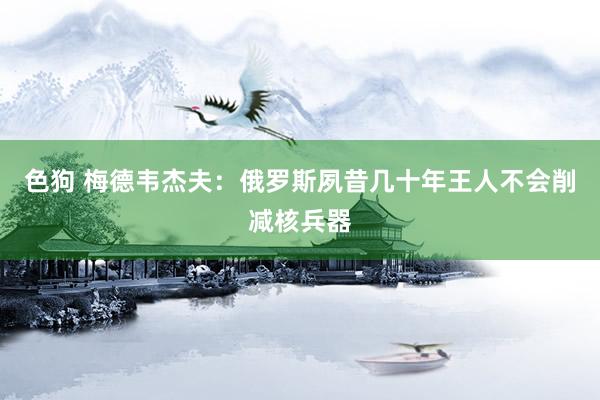色狗 梅德韦杰夫：俄罗斯夙昔几十年王人不会削减核兵器