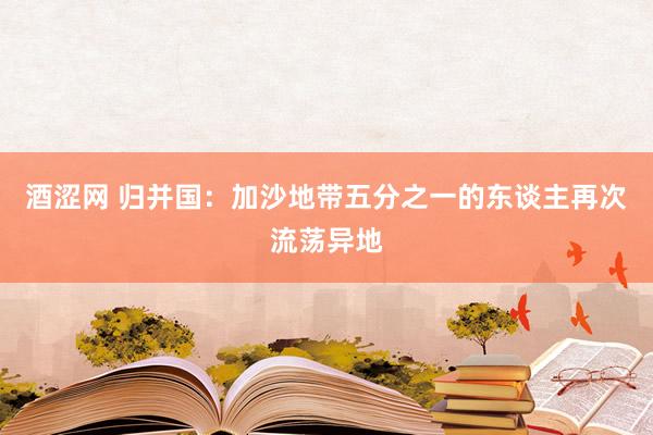 酒涩网 归并国：加沙地带五分之一的东谈主再次流荡异地