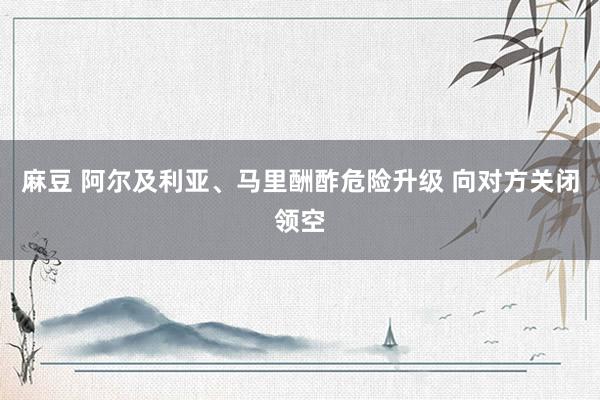 麻豆 阿尔及利亚、马里酬酢危险升级 向对方关闭领空
