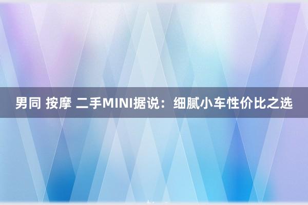 男同 按摩 二手MINI据说：细腻小车性价比之选
