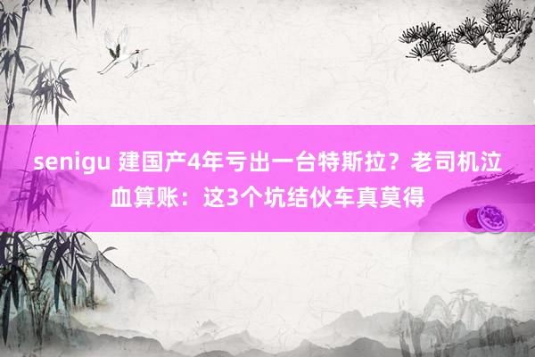 senigu 建国产4年亏出一台特斯拉？老司机泣血算账：这3个坑结伙车真莫得