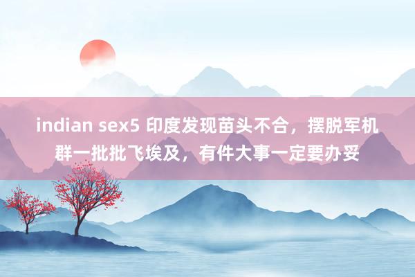 indian sex5 印度发现苗头不合，摆脱军机群一批批飞埃及，有件大事一定要办妥