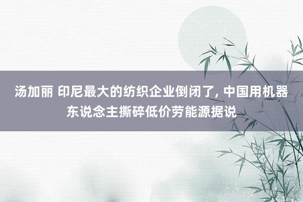 汤加丽 印尼最大的纺织企业倒闭了, 中国用机器东说念主撕碎低价劳能源据说