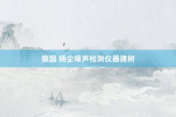 狼国 扬尘噪声检测仪器建树