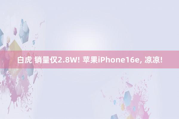 白虎 销量仅2.8W! 苹果iPhone16e, 凉凉!