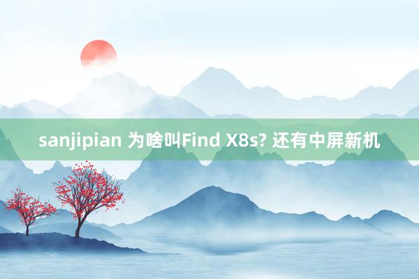 sanjipian 为啥叫Find X8s? 还有中屏新机