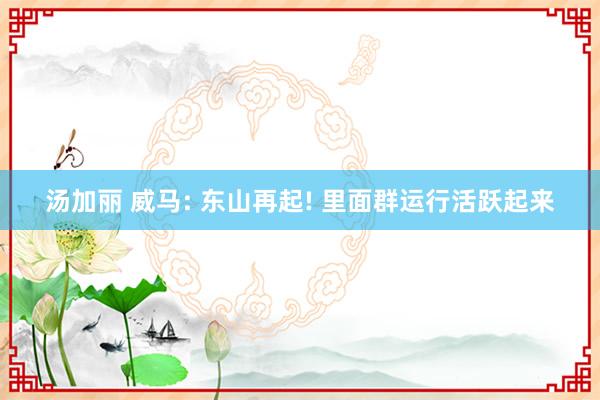 汤加丽 威马: 东山再起! 里面群运行活跃起来