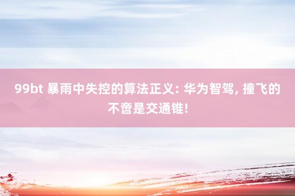 99bt 暴雨中失控的算法正义: 华为智驾， 撞飞的不啻是交通锥!