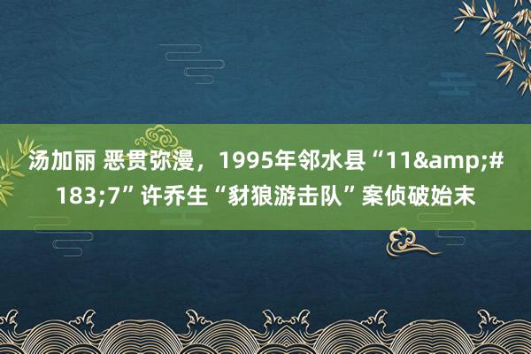 汤加丽 恶贯弥漫，1995年邻水县“11&#183;7”许乔生“豺狼游击队”案侦破始末