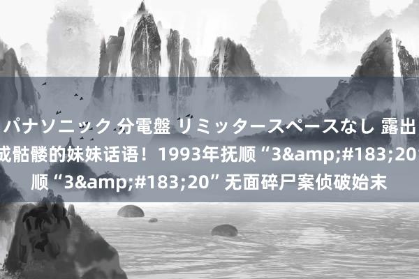 パナソニック 分電盤 リミッタースペースなし 露出・半埋込両用形 让变成骷髅的妹妹话语！1993年抚顺“3&#183;20”无面碎尸案侦破始末