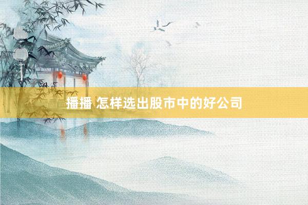 播播 怎样选出股市中的好公司