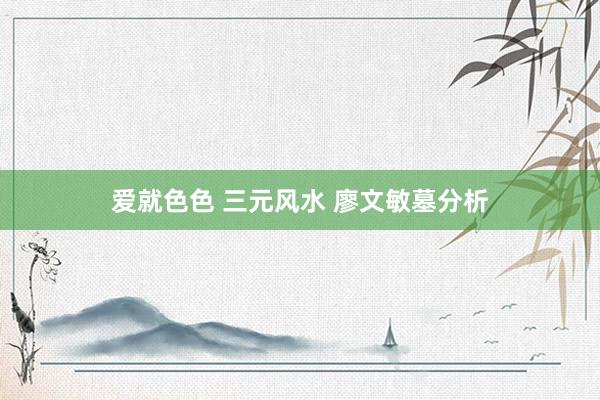 爱就色色 三元风水 廖文敏墓分析